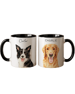Black Ceramic Mug (US)